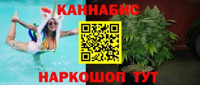 мяу мяу мука Ачхой-Мартан