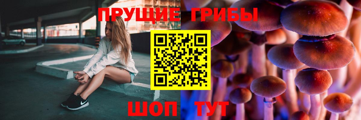 Великие Луки  Галлюциногенные грибы мицелий  Вход с VPN  хочу наркоту  Галлюциногенные грибы Psilocybe 
